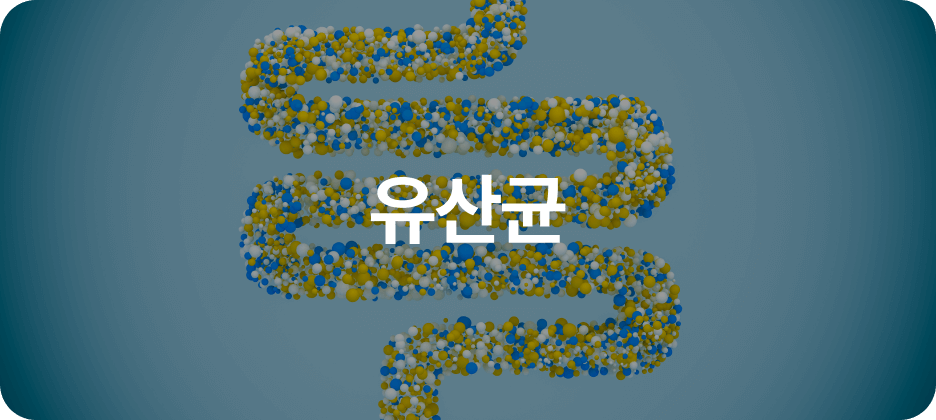유산균