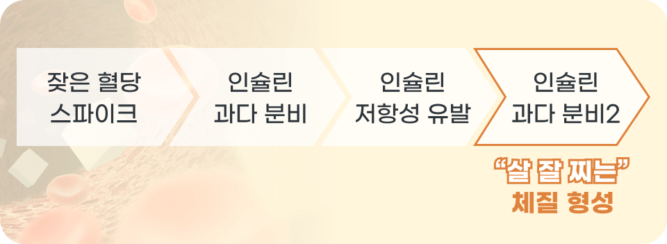 혈당스파이크와 인슐린