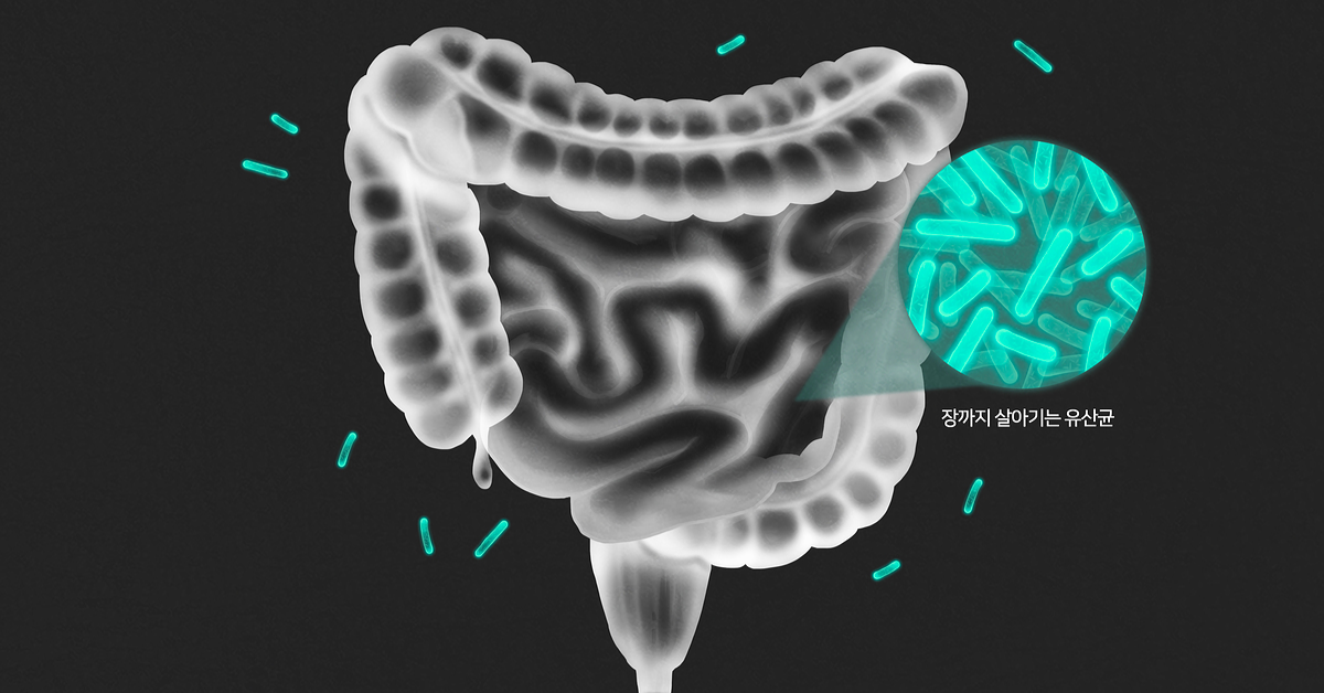 배속에 노랑 바나나를
만드는 방법