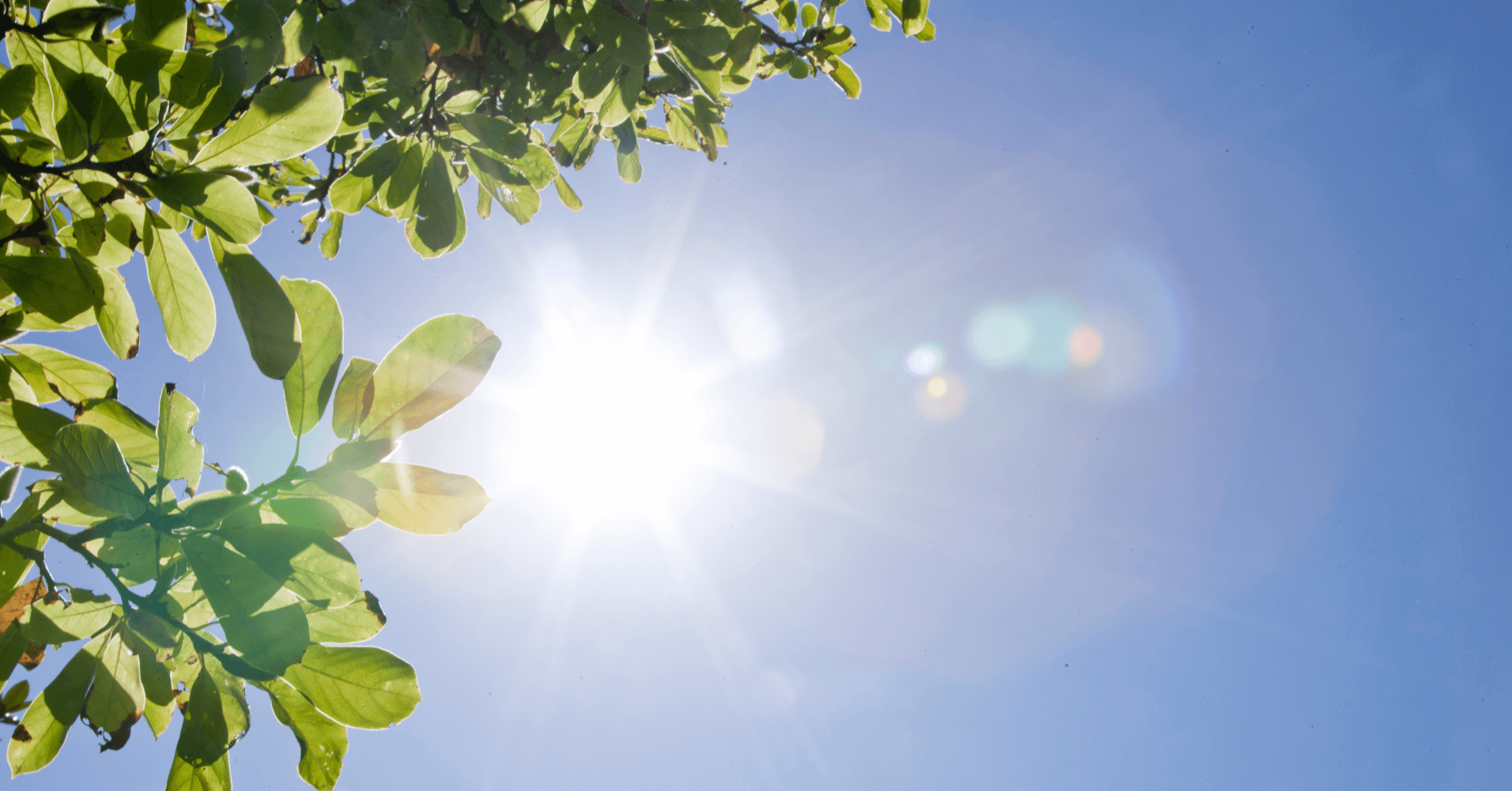 비타민D 완벽 섭취 가이드 🌞